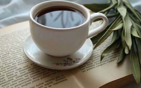A warm cup of coffee on an open book with green leaves nearby, creating a serene reading ambiance.