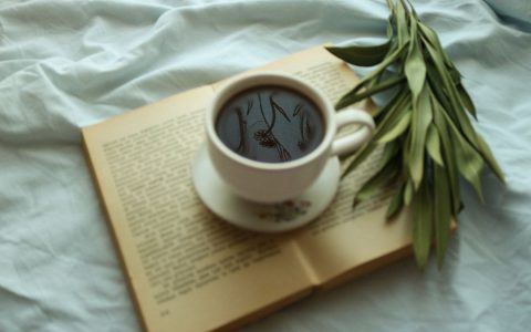A warm cup of coffee on an open book with a leafy branch, perfect for a relaxing morning.