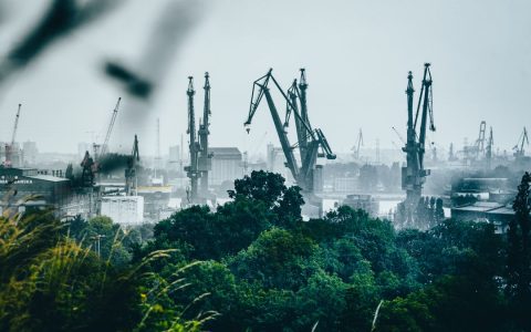 Foggy morning view of Gdańsk harbor with cranes and green foliage.