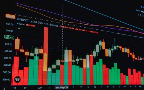 Detailed chart displaying cryptocurrency trading data and trends, ideal for financial analysis.