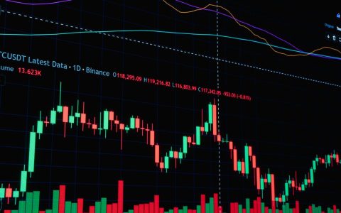 Detailed chart showing cryptocurrency market trends and analytics.