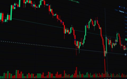 A comprehensive view of a stock market candle chart showing fluctuations and trends.